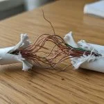 A frayed USB-C charging cable with exposed copper wires near the connector, resting on a wooden desk